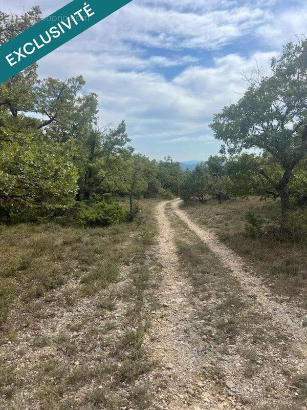 Photo 3 - Terrain à FORCALQUIER