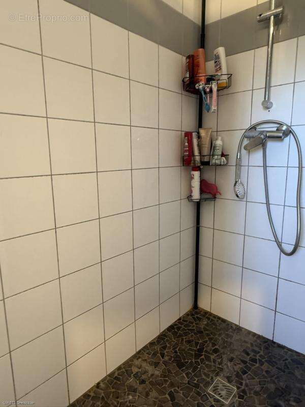 Investissement Locatif à Verteuil-Sur-Charente - photo 10