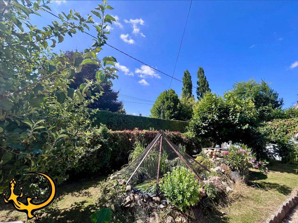Dans l'oise - photo 10