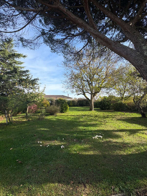 Maison à SAINT-VITE