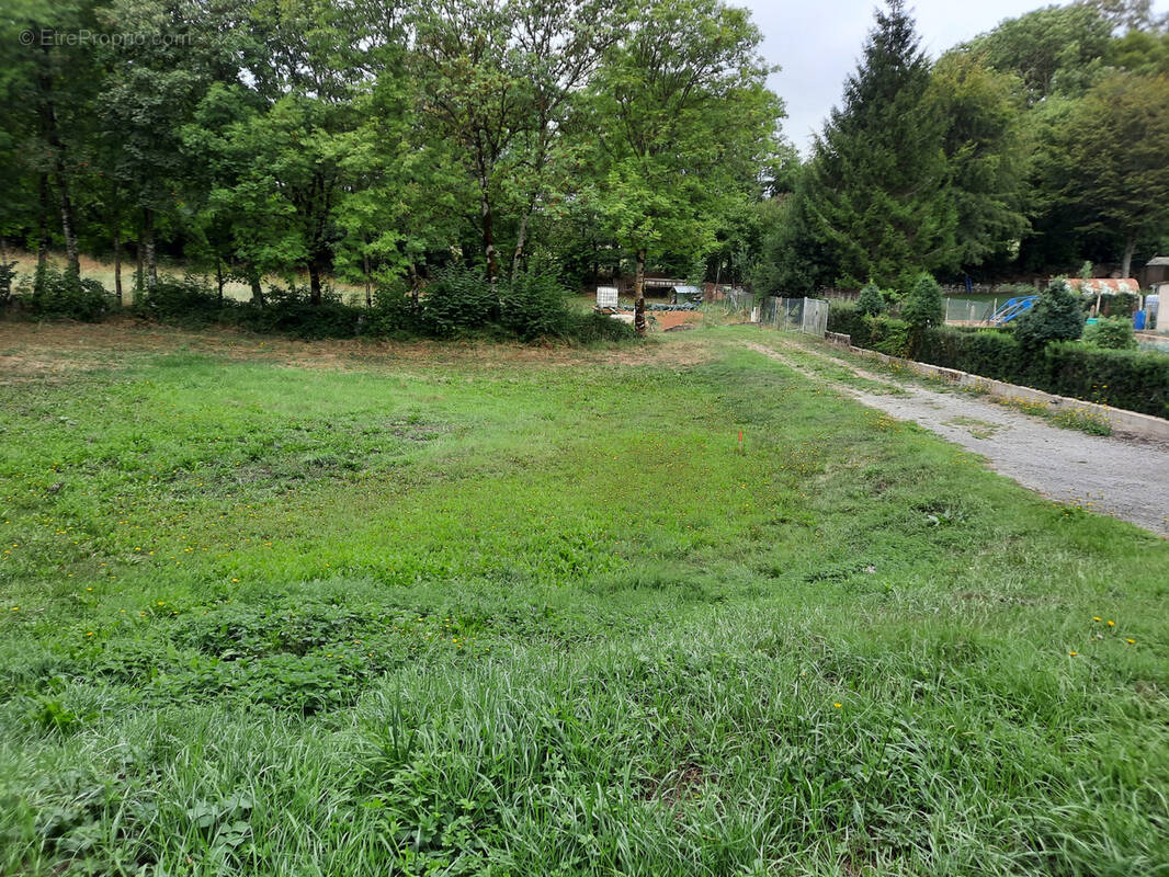 Terrain à VIALA-DU-PAS-DE-JAUX