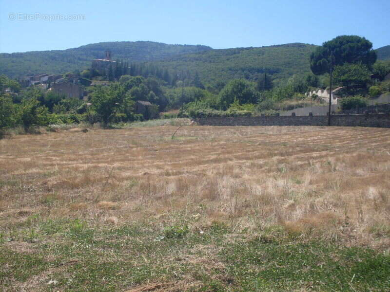 Terrain à LE BOUSQUET-D&#039;ORB