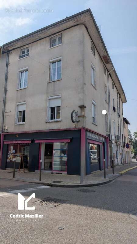 Photo 2 - Appartement à THOISSEY