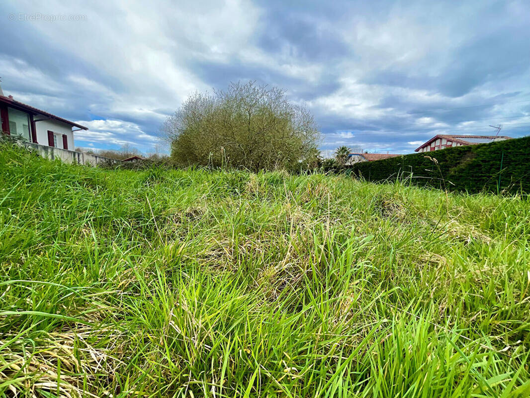 Terrain à BIDART