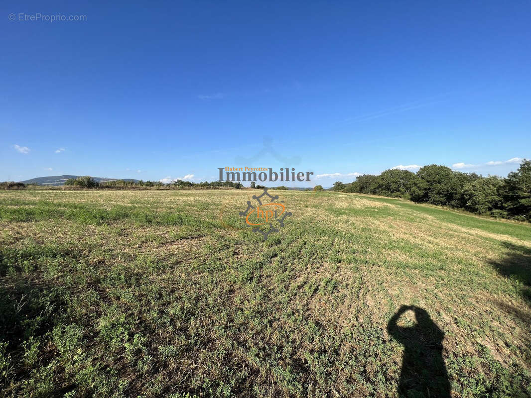 Vente hangars avec terrain Saint Victor et Melvieu - photo 8