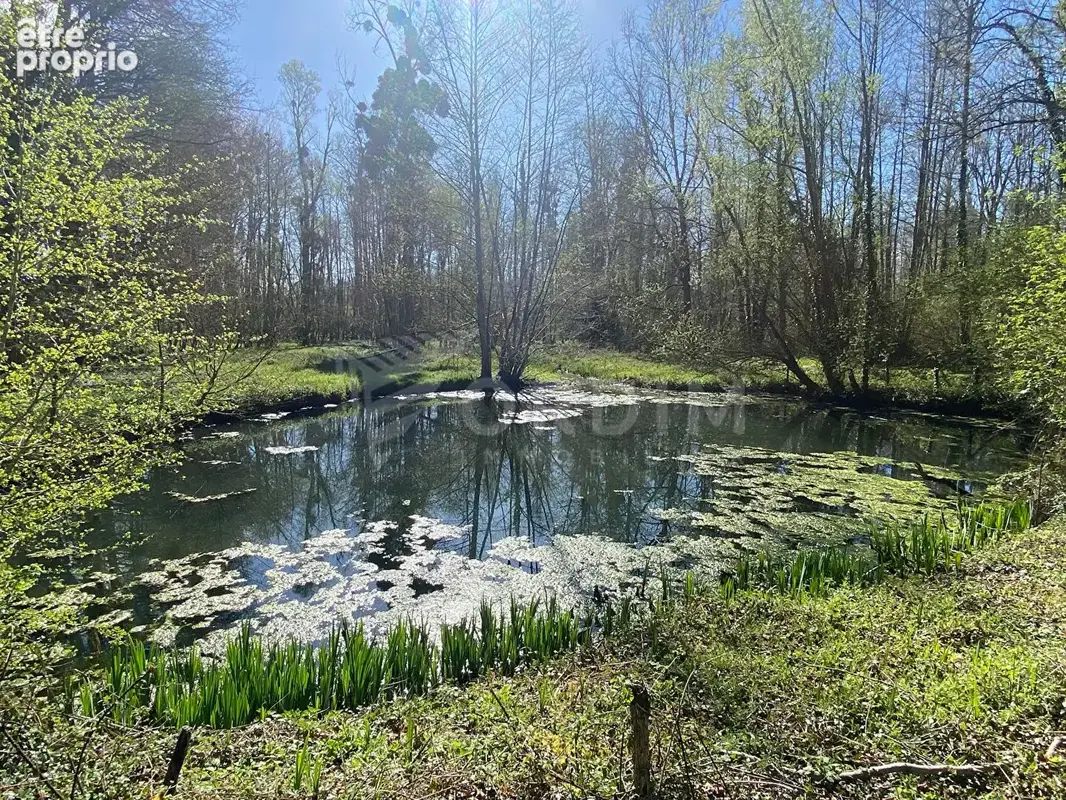 Propriété de charme sur plus d'un hectare - photo 3