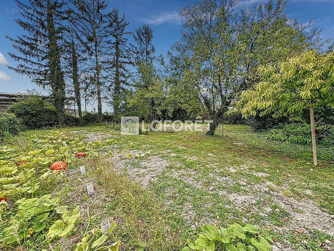 Maison à BRISSAC-QUINCE