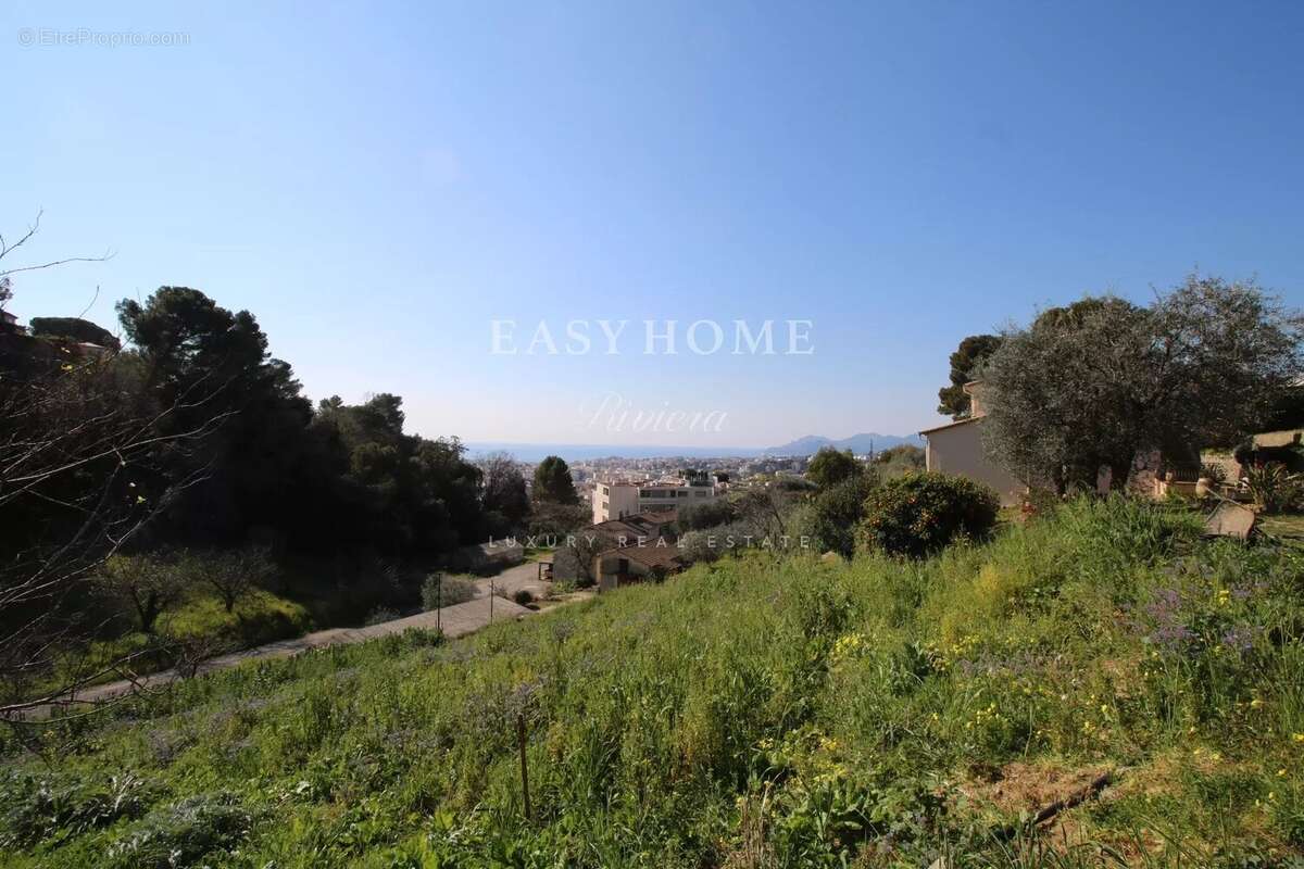 Terrain à CANNES