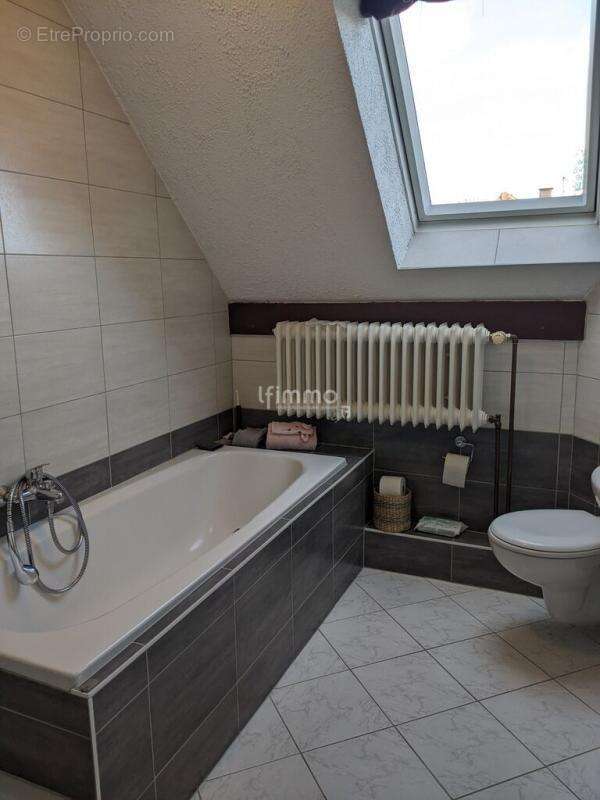 Ensemble Immobilier 8 pièces 180 m² - photo 5