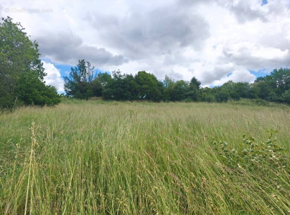 Terrain à BRENS