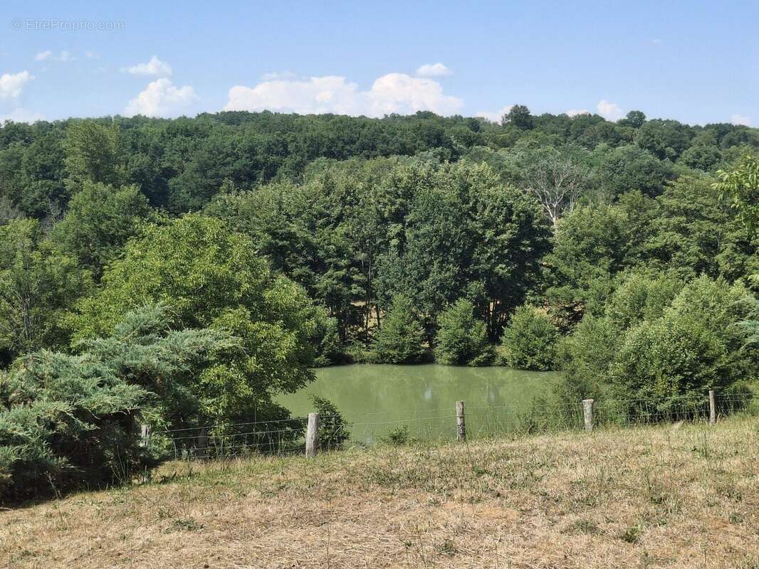 Maison 275 m² à Chasseneuil-Sur-Bonnieure  - photo 3