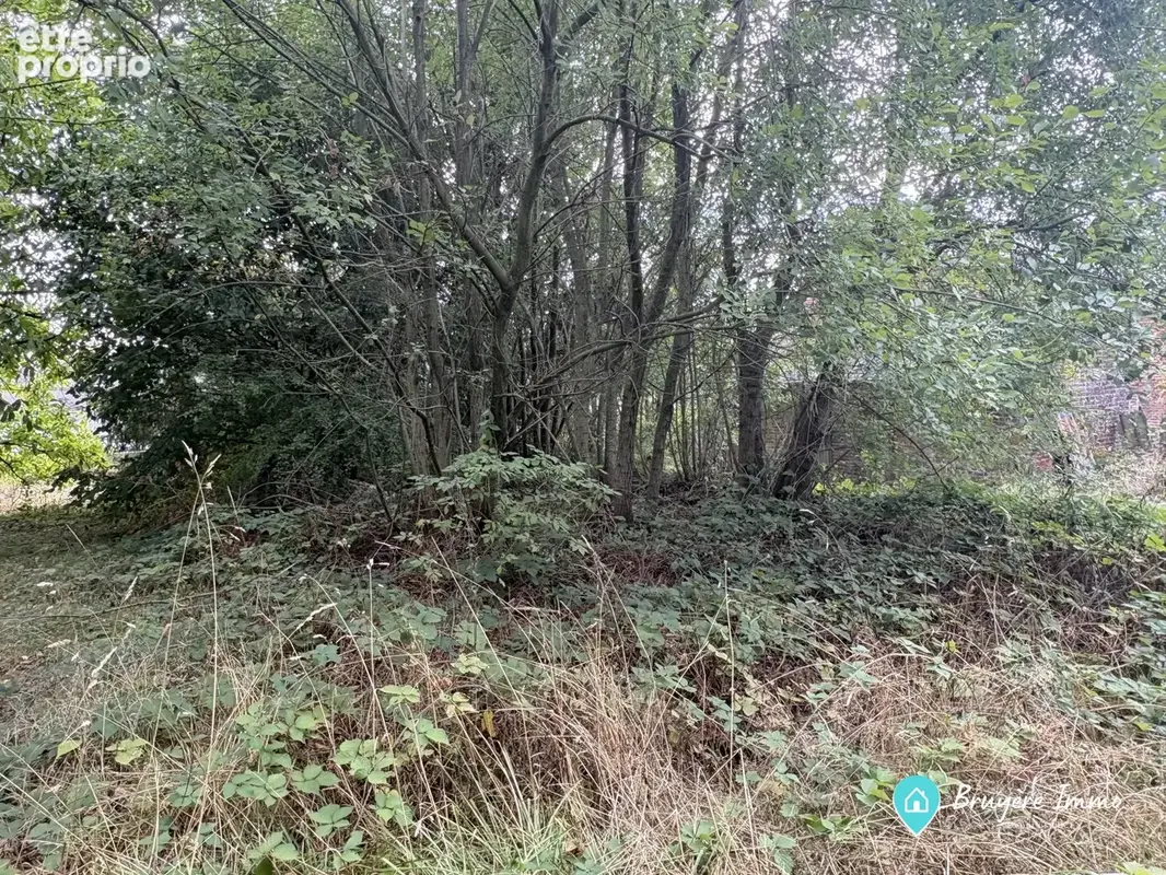 Terrain 1 068 m² à vendre à Mondrepuis (02500) - photo 2