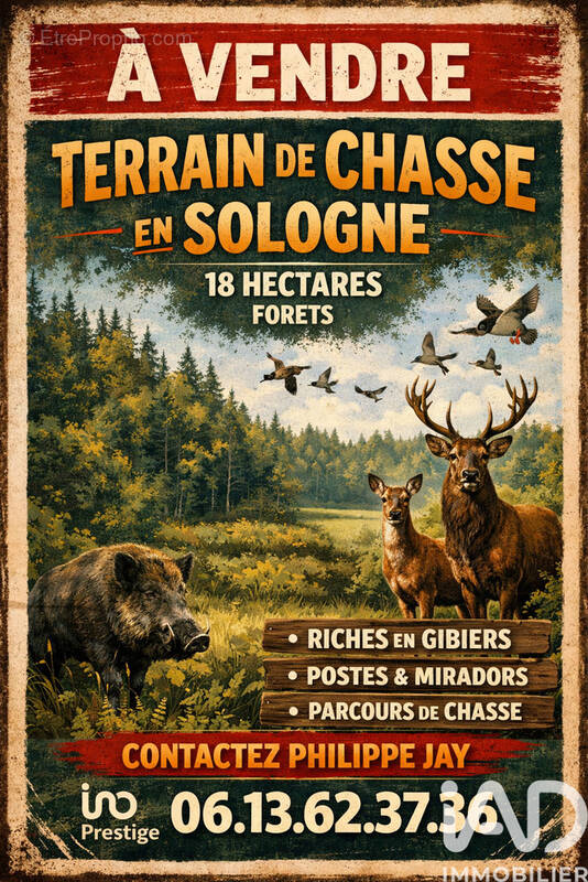 Photo 1 - Terrain à NEUVY-SUR-BARANGEON