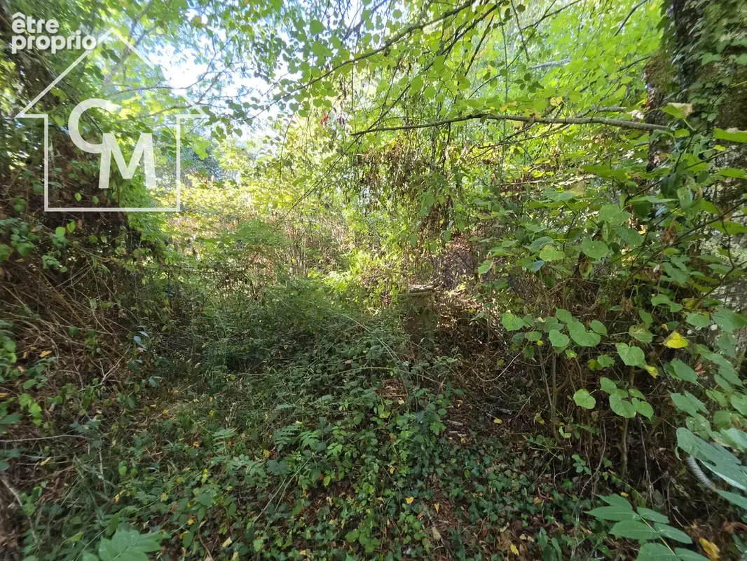 Maison à rénover entièrement avec dépendances et terrain - photo 39