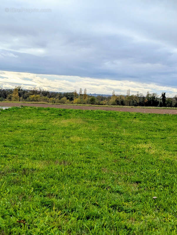 Terrain à BREGNIER-CORDON