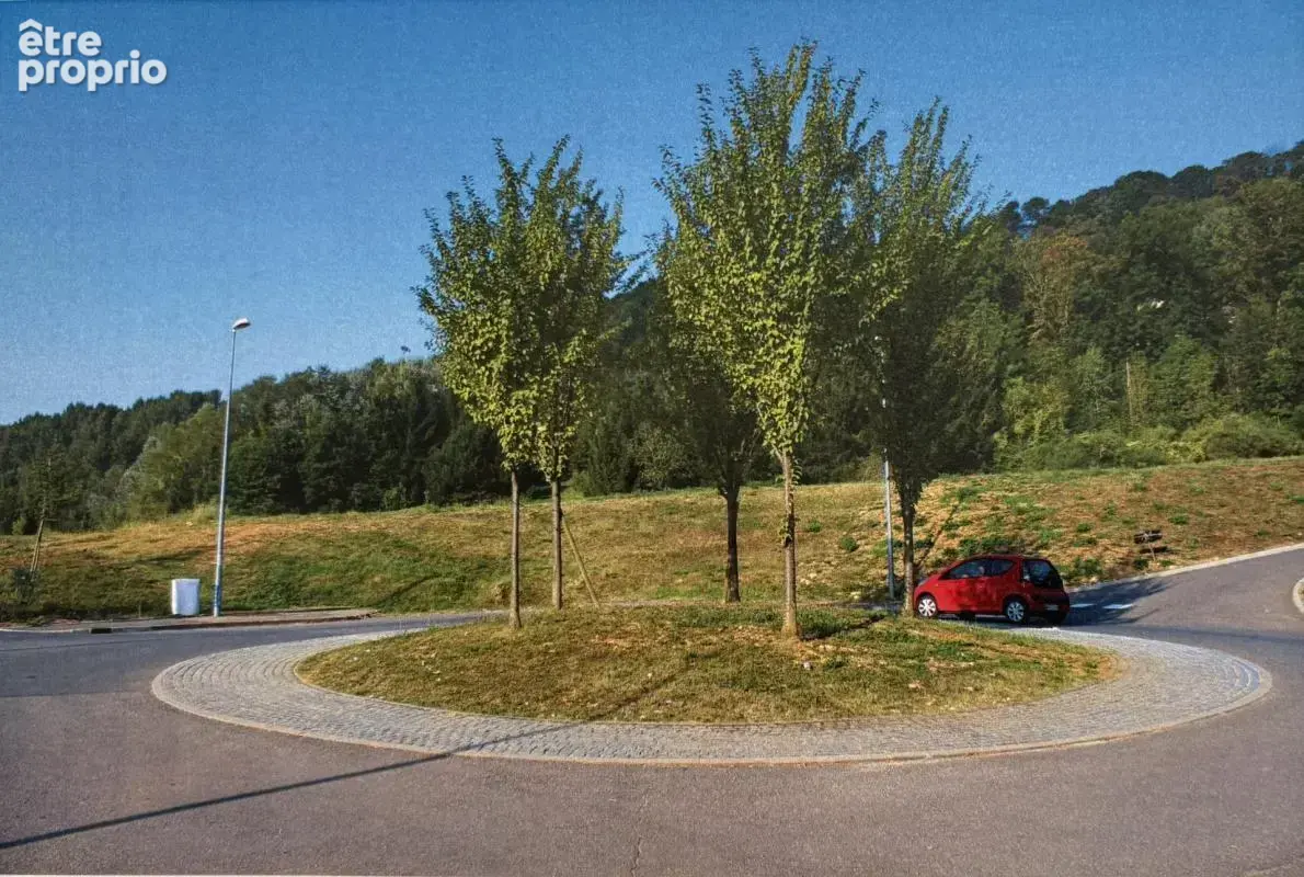 Terrain 3 000 m² – longwy-bas (54) – fort potentiel professionnel et commercial - photo 2