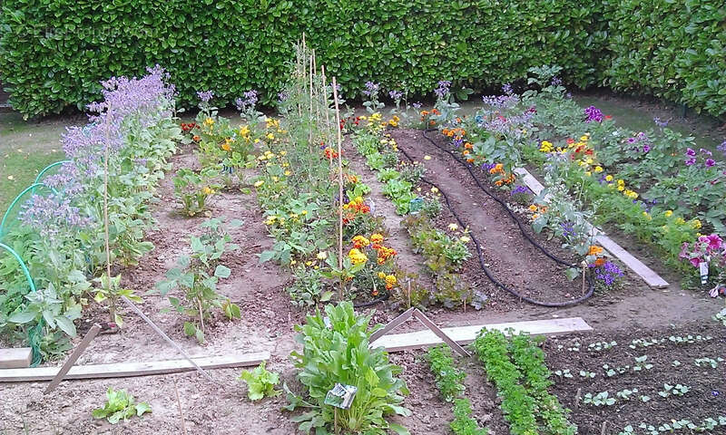 Maison à MONTIGNY-LE-BRETONNEUX