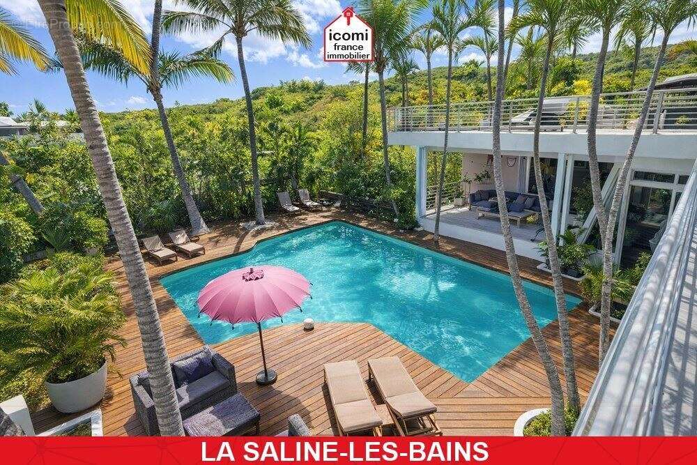 La reunion - la saline-les-bains (97434) - a vendre - villa de 470 m² avec deux studios independants - vue mer panoramique - pre - photo 6