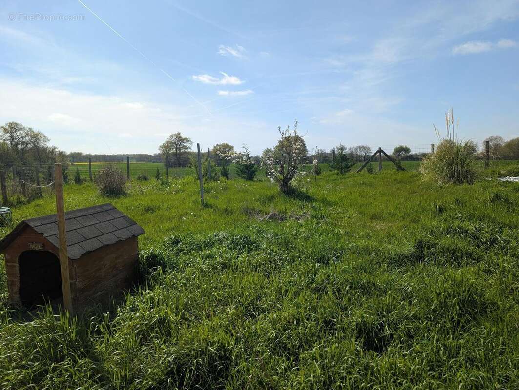 Maison 95 m² à Meigne-Le-Vicomte  - photo 8