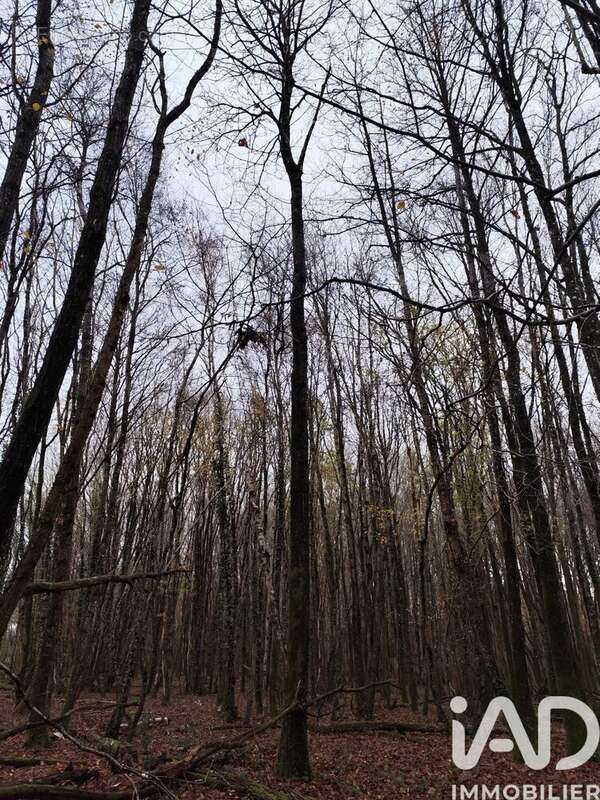 Photo 5 - Terrain à LA CHAPELOTTE