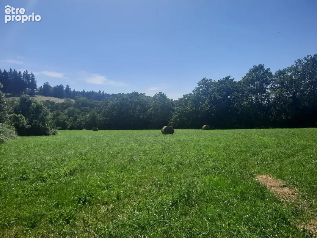 Terrain 7 430 m² à vendre à Noailhac (81490) - photo 3