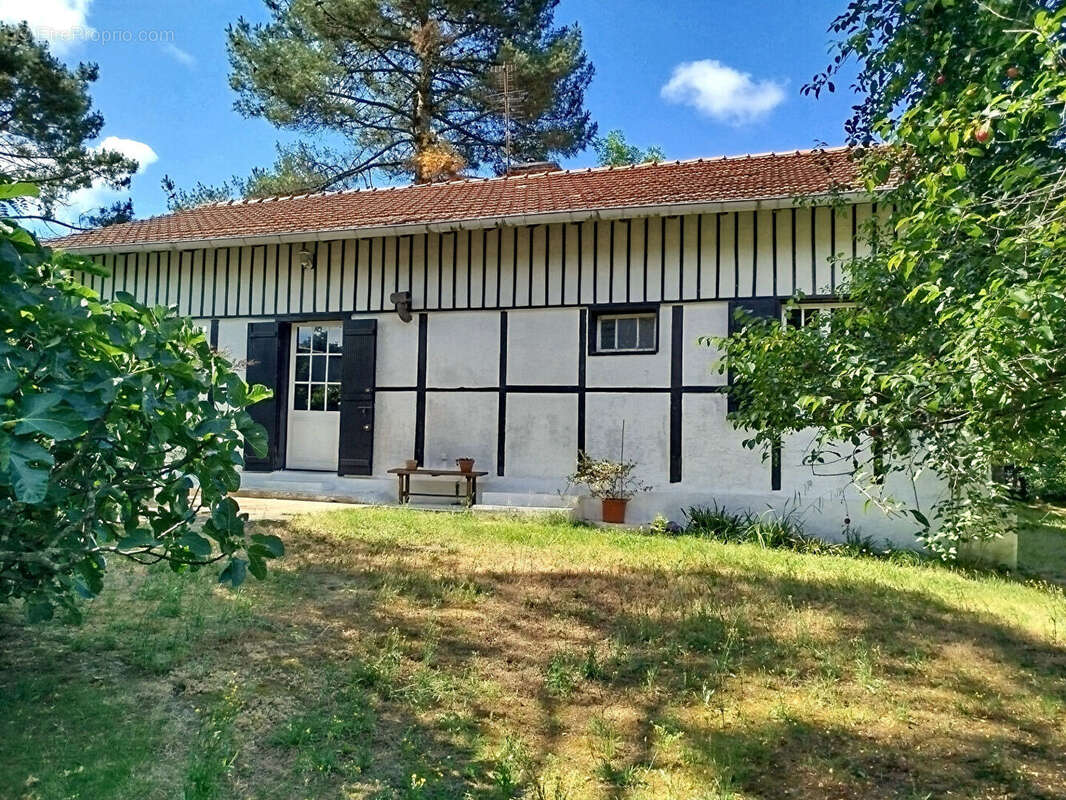 Maison à VIELLE-SAINT-GIRONS