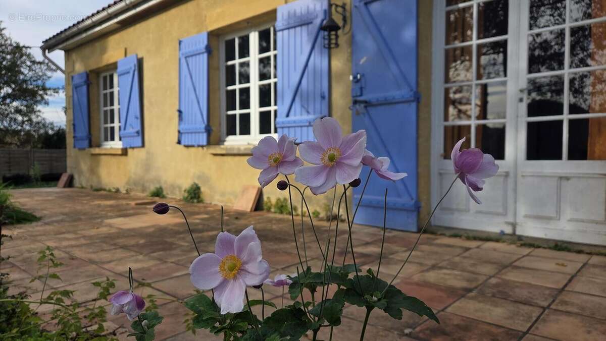 1000021811 - Maison à SIORAC-EN-PERIGORD