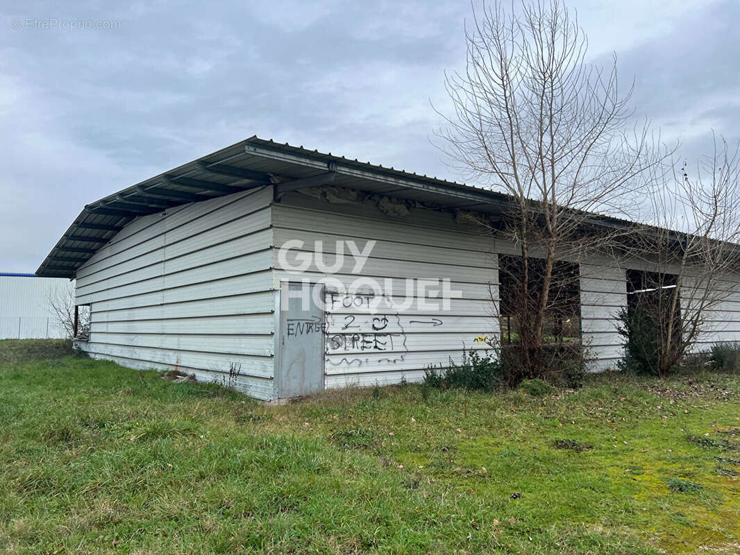 Commerce à TONNEINS