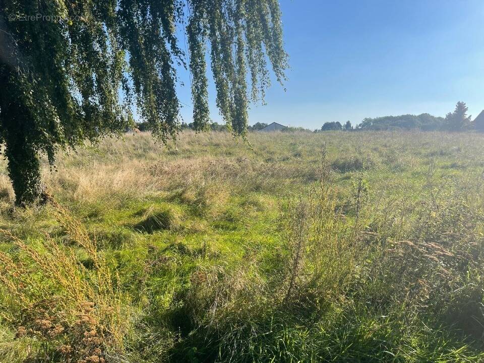 Terrain à NANTEUIL-LES-MEAUX