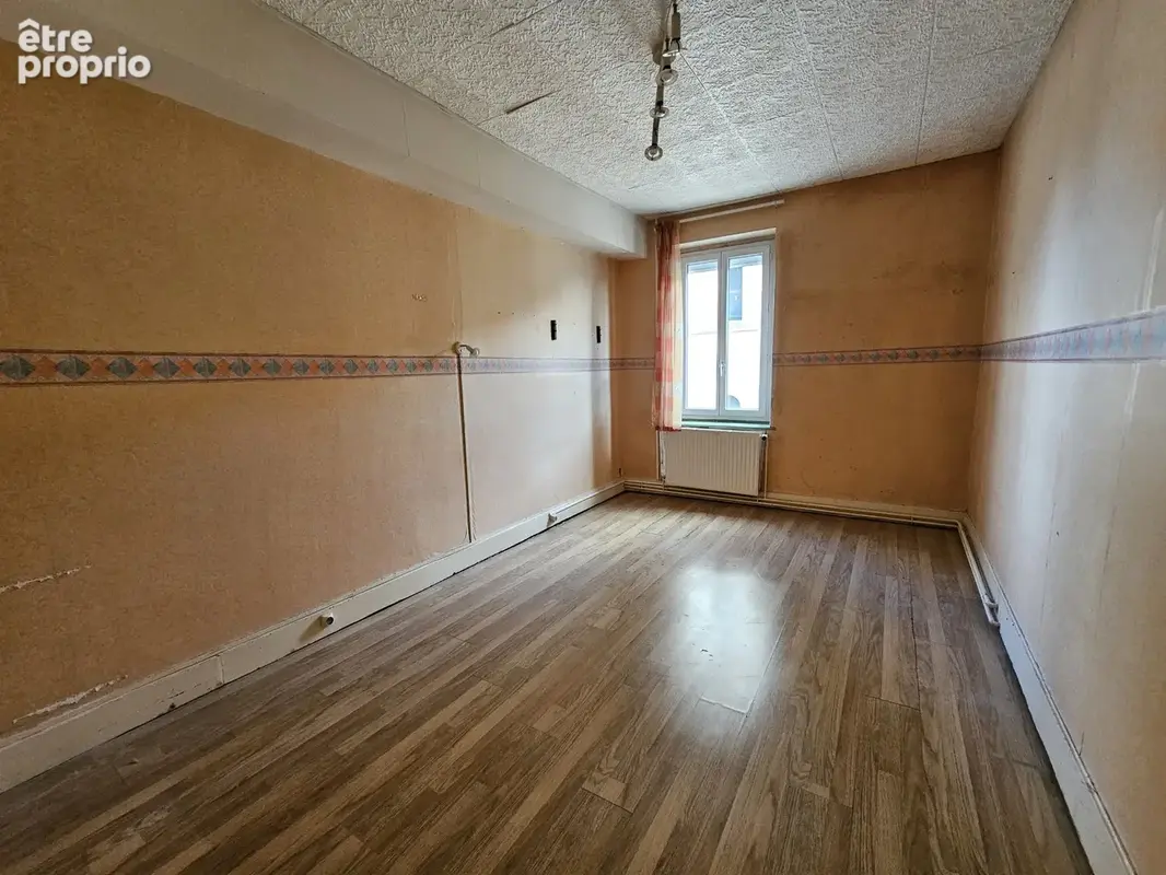 Verdun Ciel, Verdun sur le Doubs centre ville, 2 Appartements locatifs + grenier - photo 8