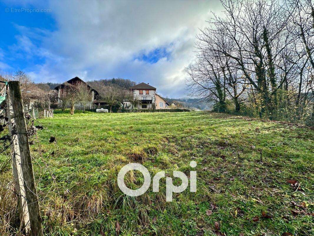 Terrain à LA COMBE-DE-LANCEY