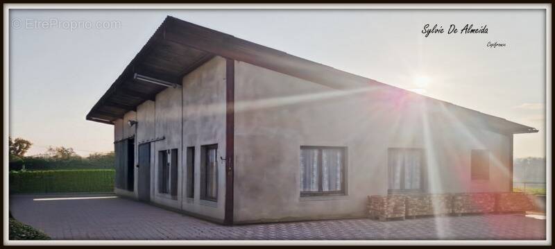 Commerce à BAGE-LA-VILLE