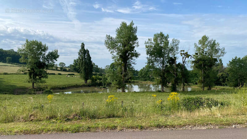 Terrain à L&#039;ISLE-SUR-SEREIN