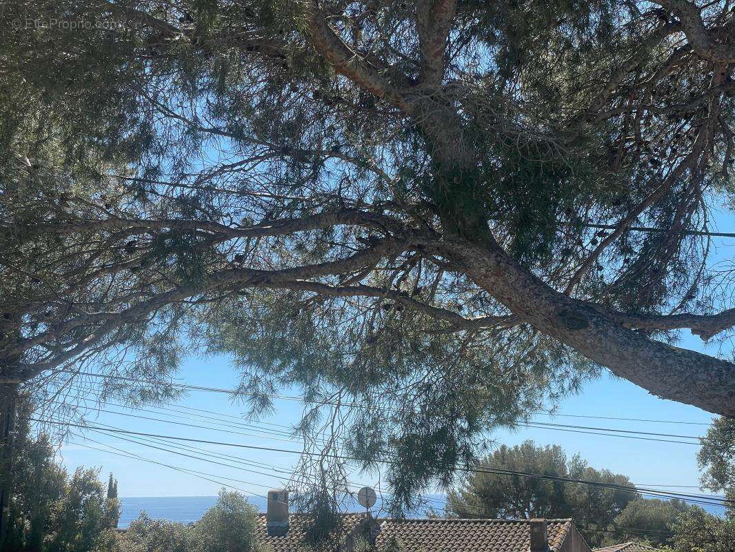 Maison à LA SEYNE-SUR-MER