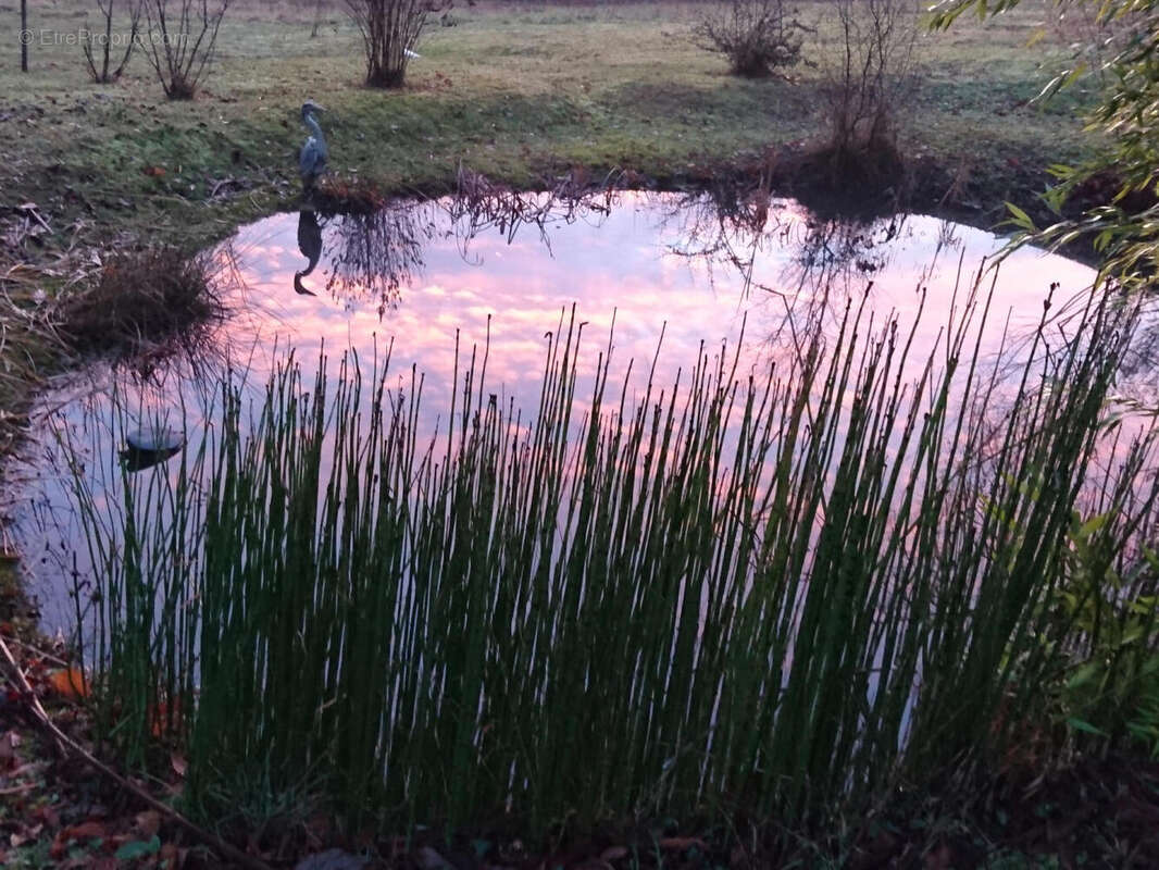 mare en hiver - Maison à PRAYSSAC