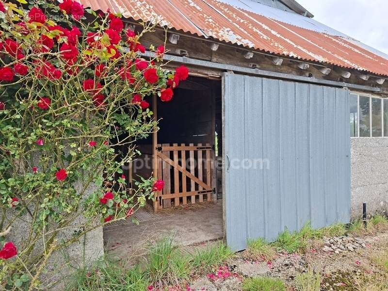 Maison à LE TEILLEUL