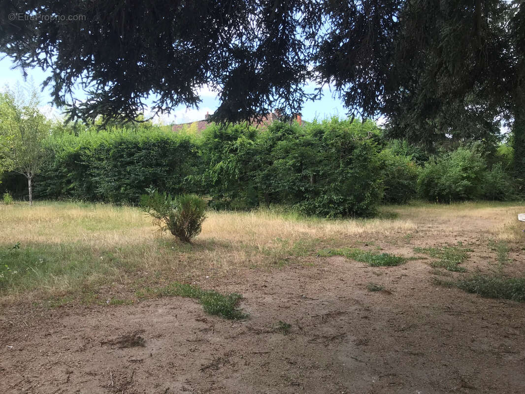 À Paray-Le-Monial, maison à acheter 364000 € avec Agence Carrier - photo 3