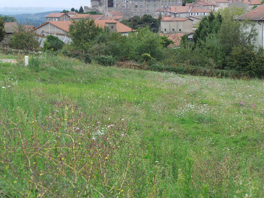 Terrain à SAINT-ETIENNE