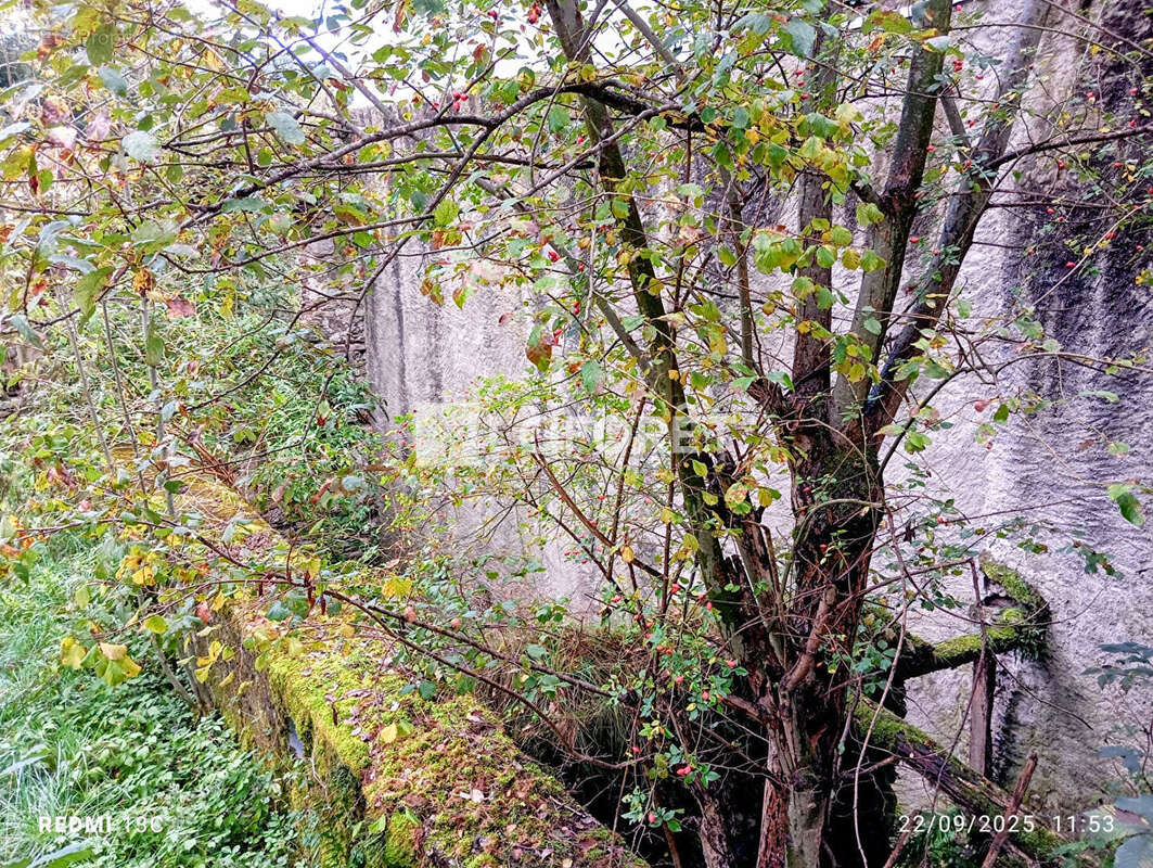 Terrain à PRATS-DE-MOLLO-LA-PRESTE