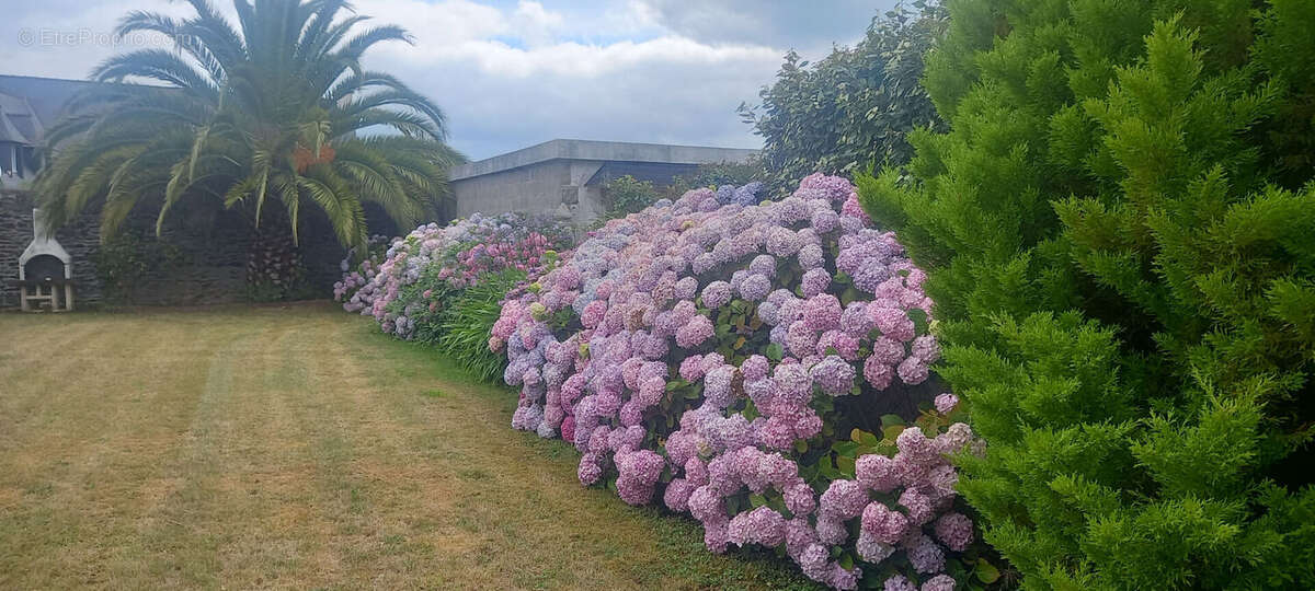 Maison à ETABLES-SUR-MER