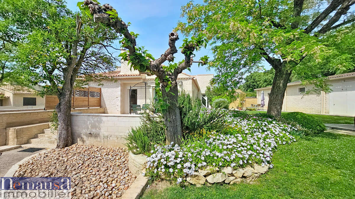 Maison à MONTFRIN