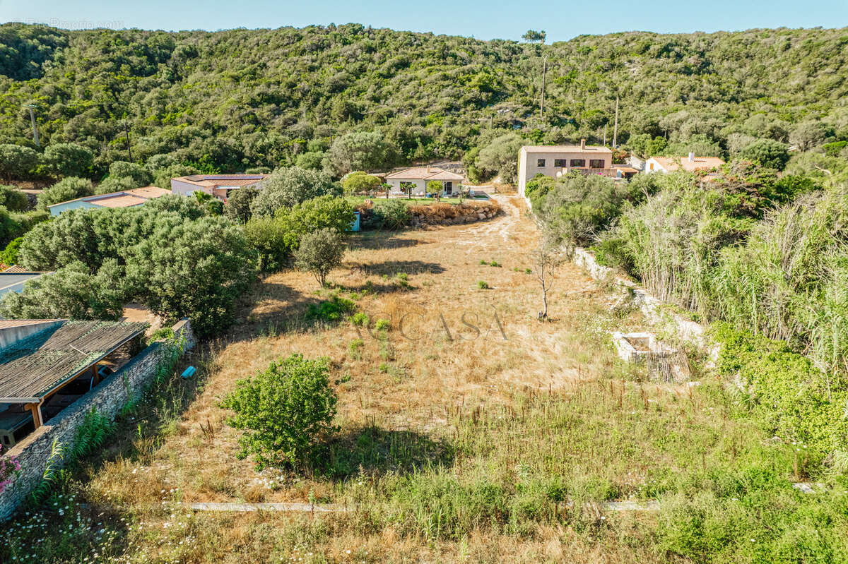 Maison avec terrain constructible de 4 260 m2 et permis accordé   Bonifacio, Vallée Saint-Julien - photo 32