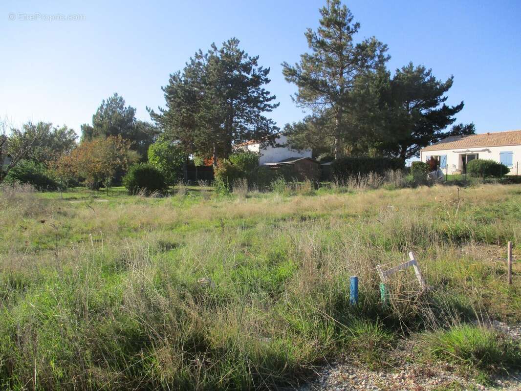 Terrain à BREM-SUR-MER