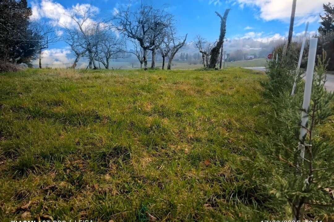 Maison à MONBAZILLAC
