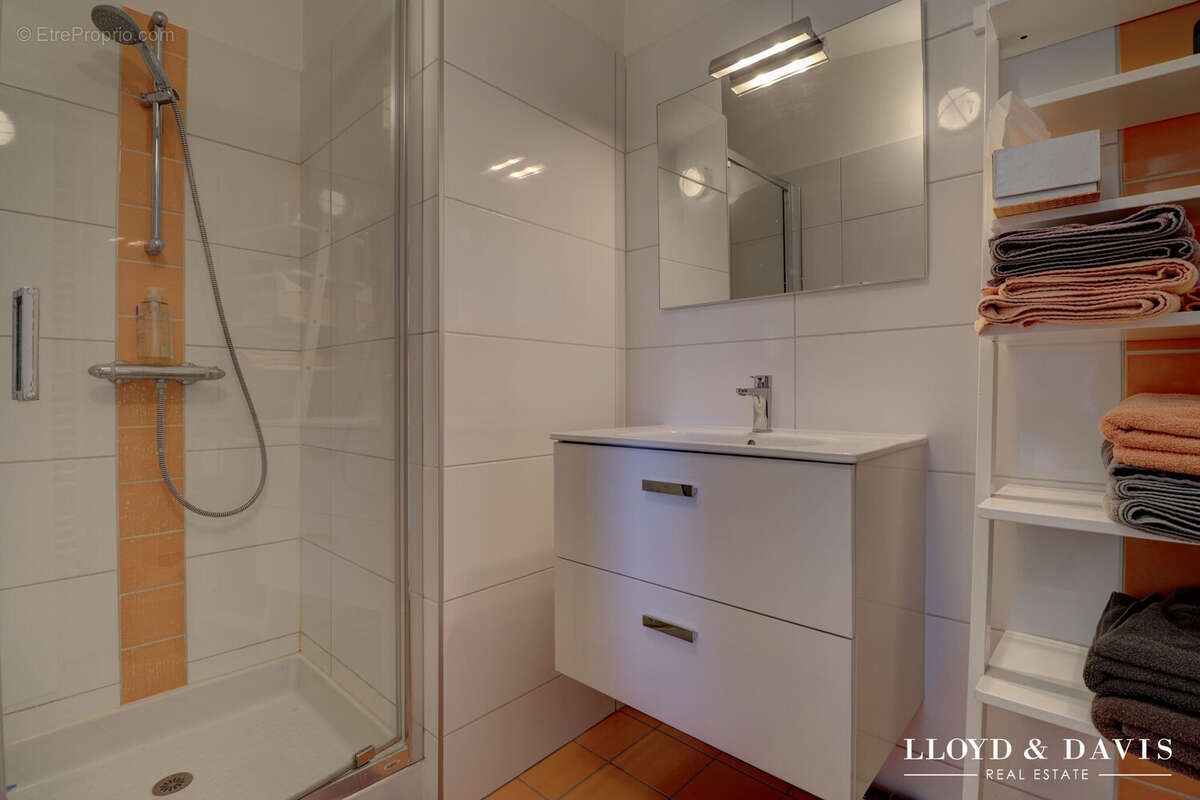 Maison 343 m² à Myans  - photo 9