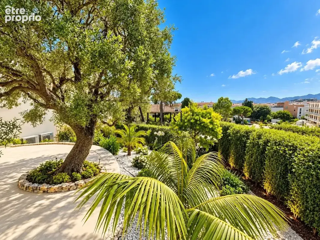 Cannes montfleury  style art deco  4/5p avec immense jardin/terrasse - photo 3