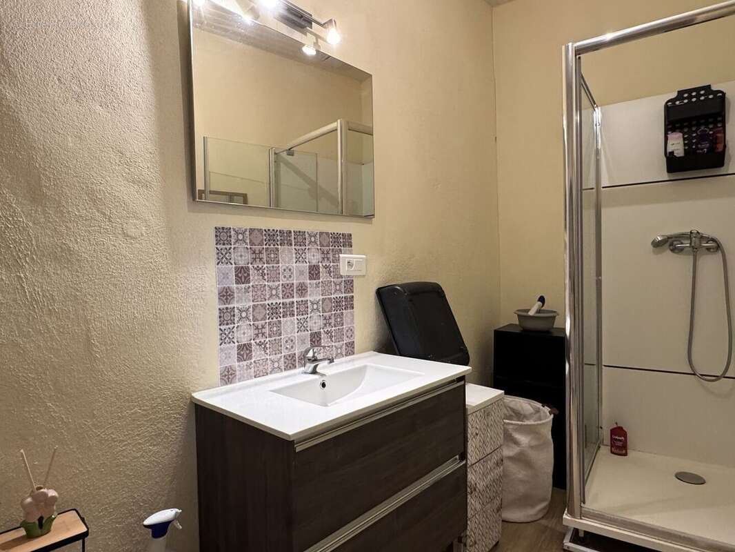 IMG1965 - Maison à SAINT-CYPRIEN