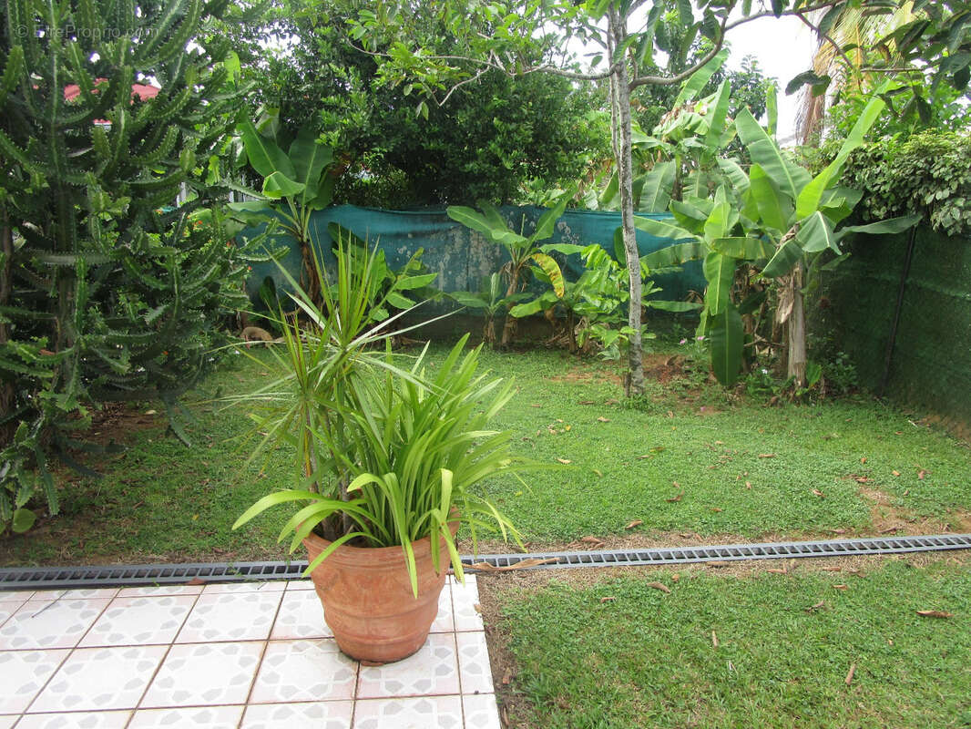 Maison à KOUROU