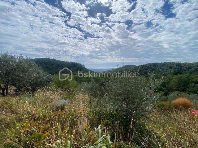 Seillans- Authentique maison de campagne, conforme moderne et panorama d'exception - photo 20