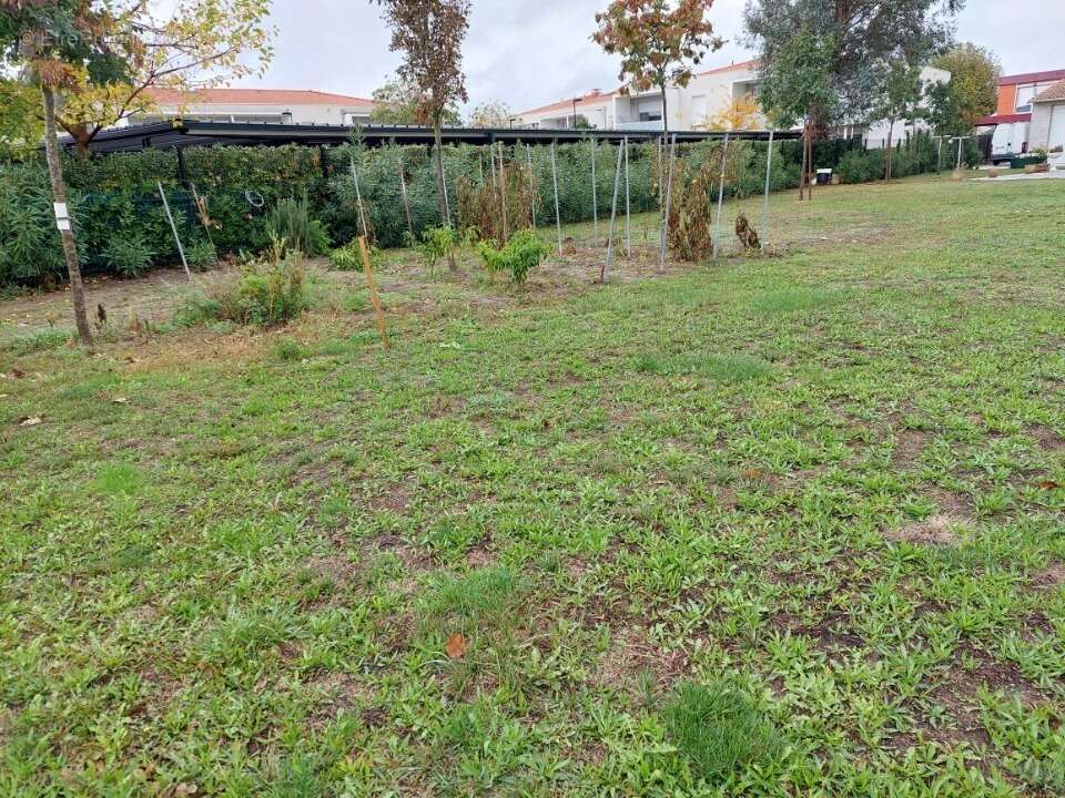 Terrain à LAUNAGUET